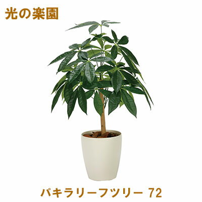 【個人様購入可能】●光の楽園 (2345A100-58) パキラリーフツリー 72 送料無料 95107