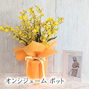 【個人様購入可能】● オンシジューム ポット アレンジフラワー (kg-7) 造花 人工 観葉植物 フェイクグリーン 送料無料 94276