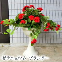 【個人様購入可能】● ゼラニュウム プランター (kgy-5) 造花 人工 観葉植物 フェイクグリーン 送料無料 94296