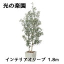【個人様購入可能】● 光の楽園 (2510A580) インテリア オリーブ 1.8m 造花 人工 観葉植物 フェイクグリーン光触媒 送料無料 94299