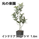 【ポイント5倍 期間限定】【個人様購入可能】● 光の楽園 (2521A380) インテリア アルテシマ 1.6m 造花 人工 観葉植物 フェイクグリーン光触媒 ...
