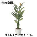 【個人様購入可能】● 光の楽園 (2565A500) ストレチア 花付き 1.5m 造花 人工 観葉植物 フェイクグリーン光触媒 送料無料 94315