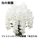 【個人様購入可能】● 光の楽園 (2578A500) フレッシュロング 胡蝶蘭 7本立ちW 造花 人工 観葉植物 フェイクグリーン光触媒 送料無料 94317
