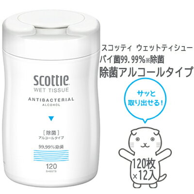 ˡ͡͸ 쥷 åƥ åȥƥ塼  륳륿 120 12 scottie å ƥ...