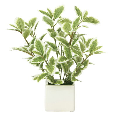 【個人様購入可能】●光の楽園 (935K28-65) ミニリーフG/W 送料無料 94061