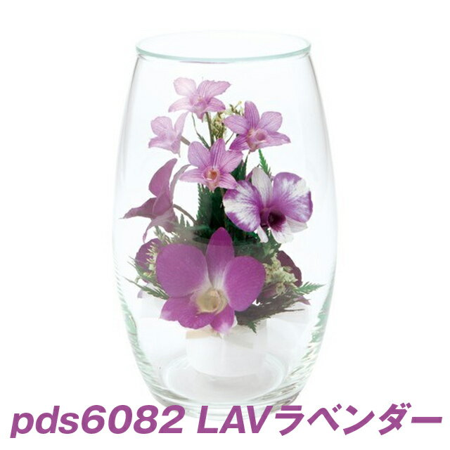 【個人様購入可能】●(pds6082) オーバルオーキッドアレンジ (LSV・PU) 送料無料 93752
