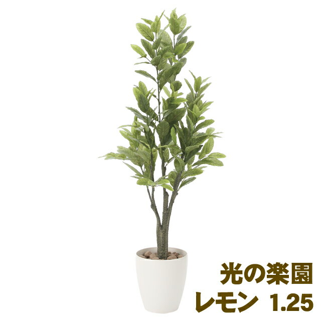 【個人様購入可能】●光の楽園 (817A200-48) レモン 1.25 送料無料 93886