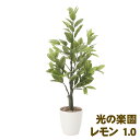 楽天 スーパーSALE期間 10%OFF 【個人様購入可能】●光の楽園 (818A150-48) レモン 1.0 送料無料 93887