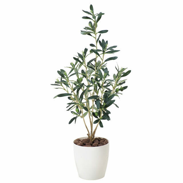 今だけ！ポイント5倍 【個人様購入可能】●光の楽園 (379K70-58) オリーブ 送料無料 92478