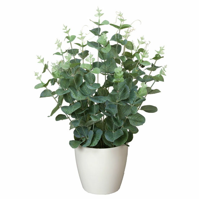 【個人様購入可能】●光の楽園 (385A50-61) ユーカリ 送料無料 92512