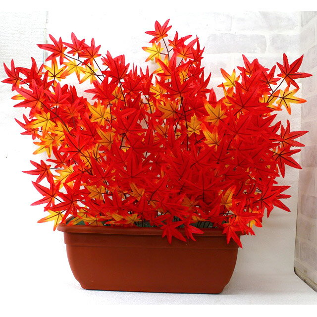 【個人様購入可能】● 【fs-9950pl】 モミジプランター 送料無料 92904