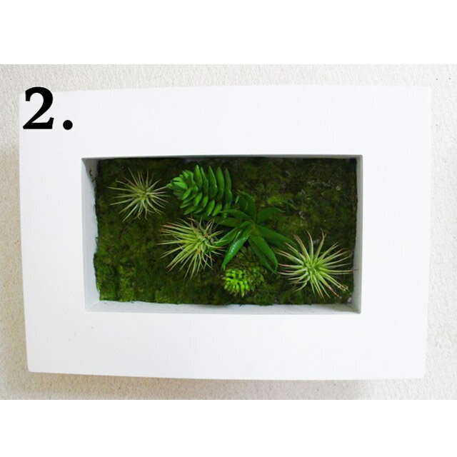 【個人様購入可能】● 【ff-0011】 ボタニカ【白フレーム 2】 送料無料 92944