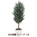 【ポイント5倍 期間限定】【個人様購入可能】●光の楽園 (149K850-44) オリーブ 1.8 送料無料 94130