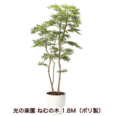 楽天 スーパーSALE期間 10%OFF 【個人様購入可能】●光の楽園 (2106A460-28) ねむの木 1.8M（ポリ製） 送料無料 94161