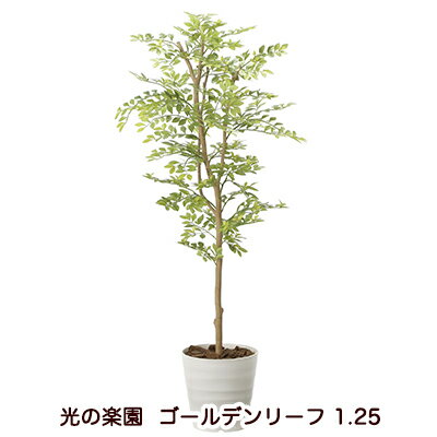 乐天商城 - 【個人様購入可能】●光の楽園 (2013A200-36) ゴールデンリーフ 1.25 送料無料 94169