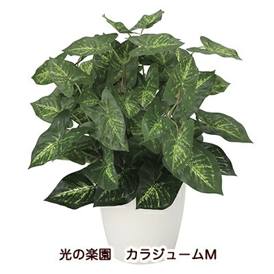 【ポイント5倍 期間限定】【個人様購入可能】●光の楽園 (2104K35-64) カラジュームM 送料無料 94200