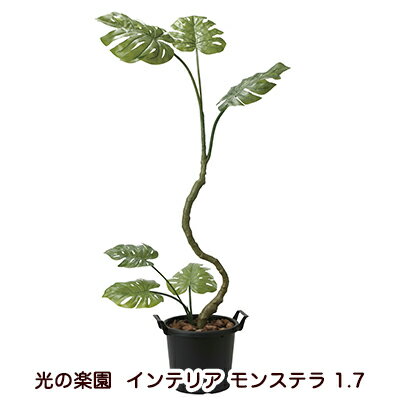 【個人様購入可能】●光の楽園 (2025K260-51) インテリア モンステラ 1.7 送料無料 94245