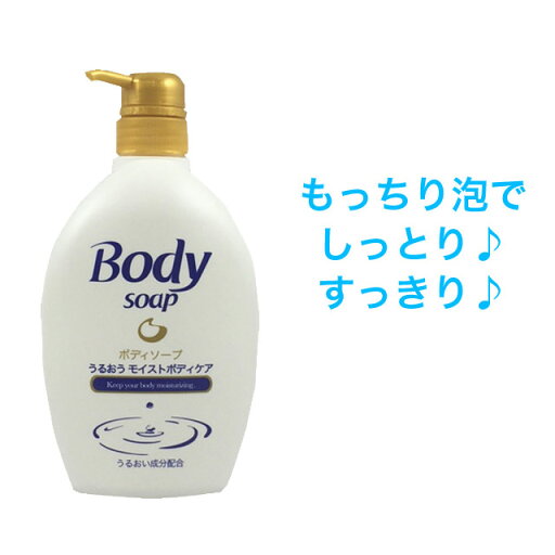 【ポイント5倍 期間限定】【個人様購入可能】●スクイズコーポレーション モイストボディソープ580ml×18本入 送料無料 73639 【ポイント5倍 期間限定】【個人様購入可能】●スクイズコーポレーション モイストボディソープ580ml×18本入 送料無料 73639