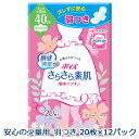 【法人・企業様限定販売】ポイズ さらさら素肌 吸収ナプキン 安心の少量用 (40cc) 羽つき 20枚×12パック 10922