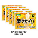 【ポイント5倍 期間限定】【法人・企業様限定販売】 使い捨てカイロ 楽々 貼るカイロ 10枚×12袋 送料無料 40938
