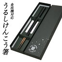 【ポイント5倍 期間限定】【個人様購入可能】●華正工房 うるしけんこう箸 食洗機対応 五角 黒【C-42BOX】 送料無料 19003