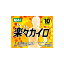 【法人・企業様限定販売】 使い捨て カイロ 楽々 貼る カイロ 10枚×24袋 送料無料 02826