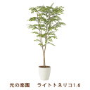 【ポイント5倍 期間限定】【個人様購入可能】●光の楽園 (2231K330-42) ライト トネリコ 1.6 送料無料 99466