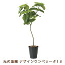 【個人様購入可能】●光の楽園 (2258K400-51) デザイン ウンベラータ 1.8 送料無料 99470