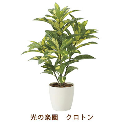 【個人様購入可能】●光の楽園 (2213A100-67) クロトン 送料無料 99505