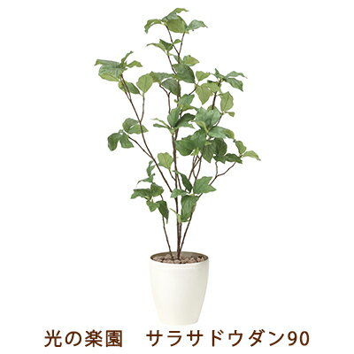 【個人様購入可能】●光の楽園 (827K100-57) サラサドウダン 90 送料無料 99550