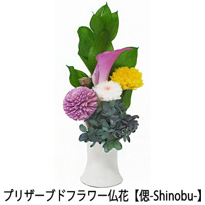 楽天 スーパーSALE期間 10%OFF 【個人様購入可能】○ 水換え不要 楽天 スーパーSALE期間 10%OFF 【個人様購入可能】○ 水換え不要