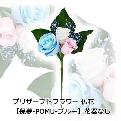 スーパーセール 割引【個人様購入可能】● お花のみ 仏花 水換え不要 枯れない お供え花 プリザーブドフラワー 花器無しタイプ 【保夢-POMU - ブルー 】[AKF-072] A＆K 送料無料 75638