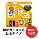 【ポイント5倍 期間限定】【法人・企業様限定販売】 小林製薬 桐灰 カイロ 貼る ミニサイズ 30枚×16箱 使いすてカイロ 送料無料 06071