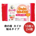 SALE 期間限定 ポイント5倍【法人・企業様限定販売】 小林製薬 命の母 カイロ 貼る 10枚×24袋 使いすてカイロ 送料無料 06091