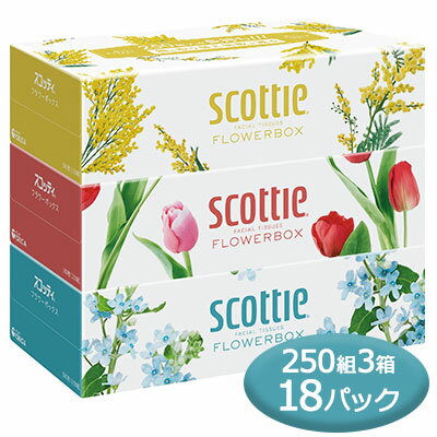 【個人様購入可能】 スコッティ ティシュー フラワーボックス 250組 3箱パック ×18パック scottie ティッシュペーパー 送料無料 00084