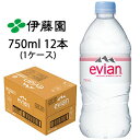 【個人様購入可能】送料無料 伊藤園 エビアン750（スヌーピーパッケージ） PET 750ml × 12本 49796