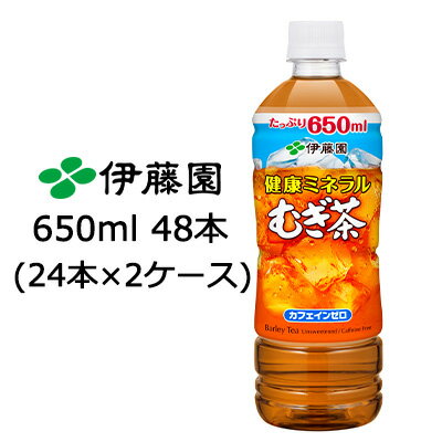 【5月末まで大特価！激安！値下げ中！】【個人様購入可能】伊藤園 健康 ミネラル むぎ茶 650ml PET ×48本 (24本×2ケース) 送料無料 49838