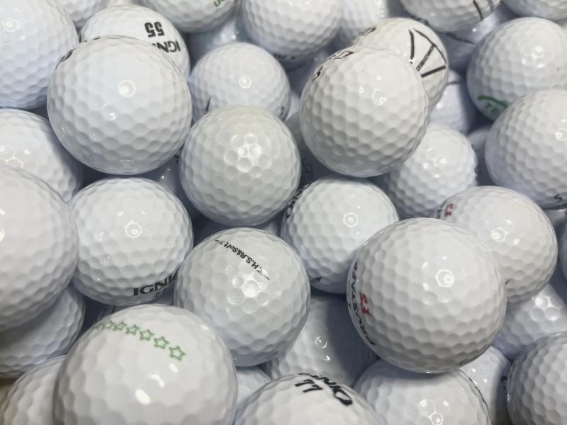 【中古】本当に役立つ栄養学 肥満、病気、老化予防のカギとなる食べものの科学 (ブルーバックス)