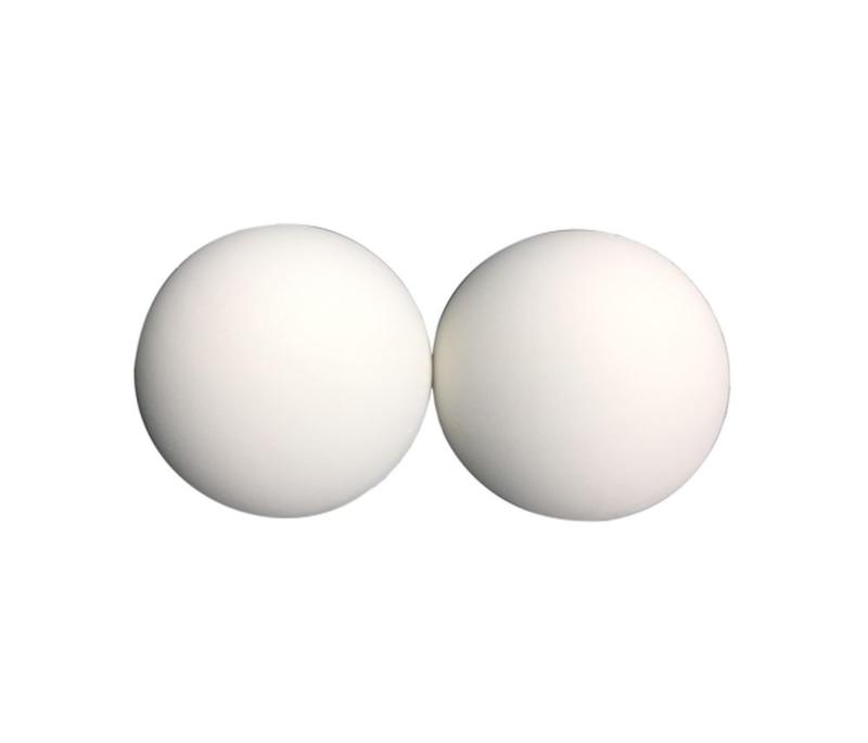 NORTHWAY SPORTS 軟式テニスボール ホワイト 2個セット NSX-046