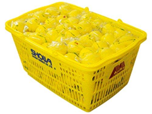 Lucent(ルーセント) アカエムプラクティスボールカゴ入り 黄 10ダース(120個) M-40330 黄