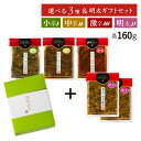 送料無料!イヌイの福岡県産辛子高菜「漬物語り」小辛・中辛・激辛の辛さを選べる辛子高菜160g 5枚ギフトセット 漬物 ごはんのお供 ギフト ピリ辛 九州 手土産 酒の肴