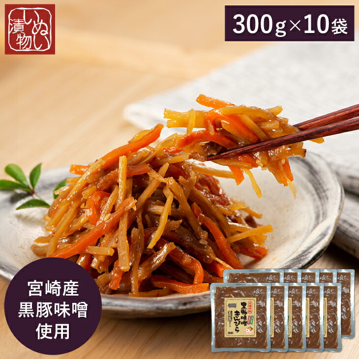 イヌイ黒豚味噌きんぴら10袋セット