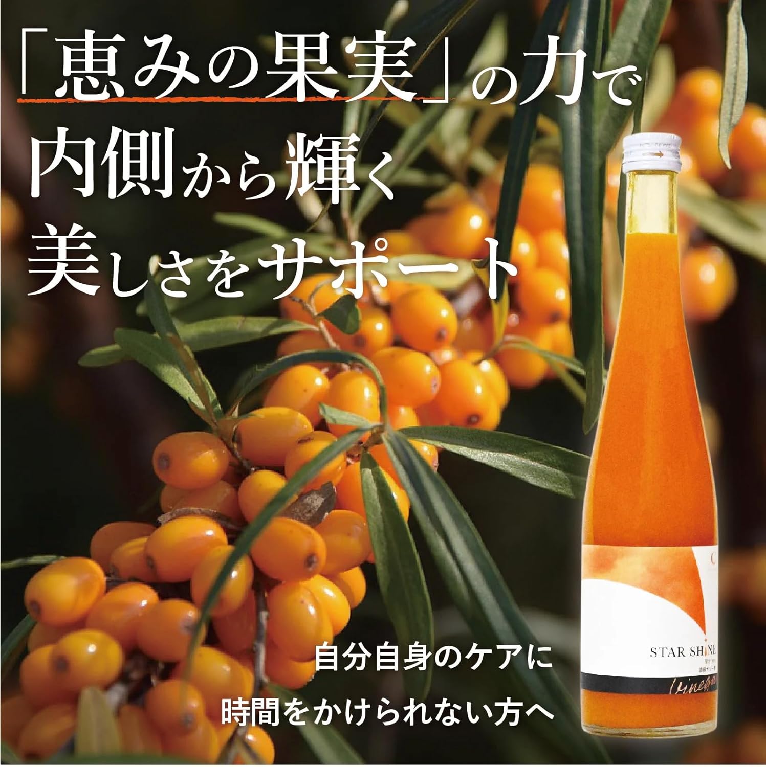 ソース研究所のSTAR SHINE2本入りギフトセット（サジー酢500ml3倍希釈タイプ・濃縮サンザシ500ml3倍希釈タイプ）｜アングル2