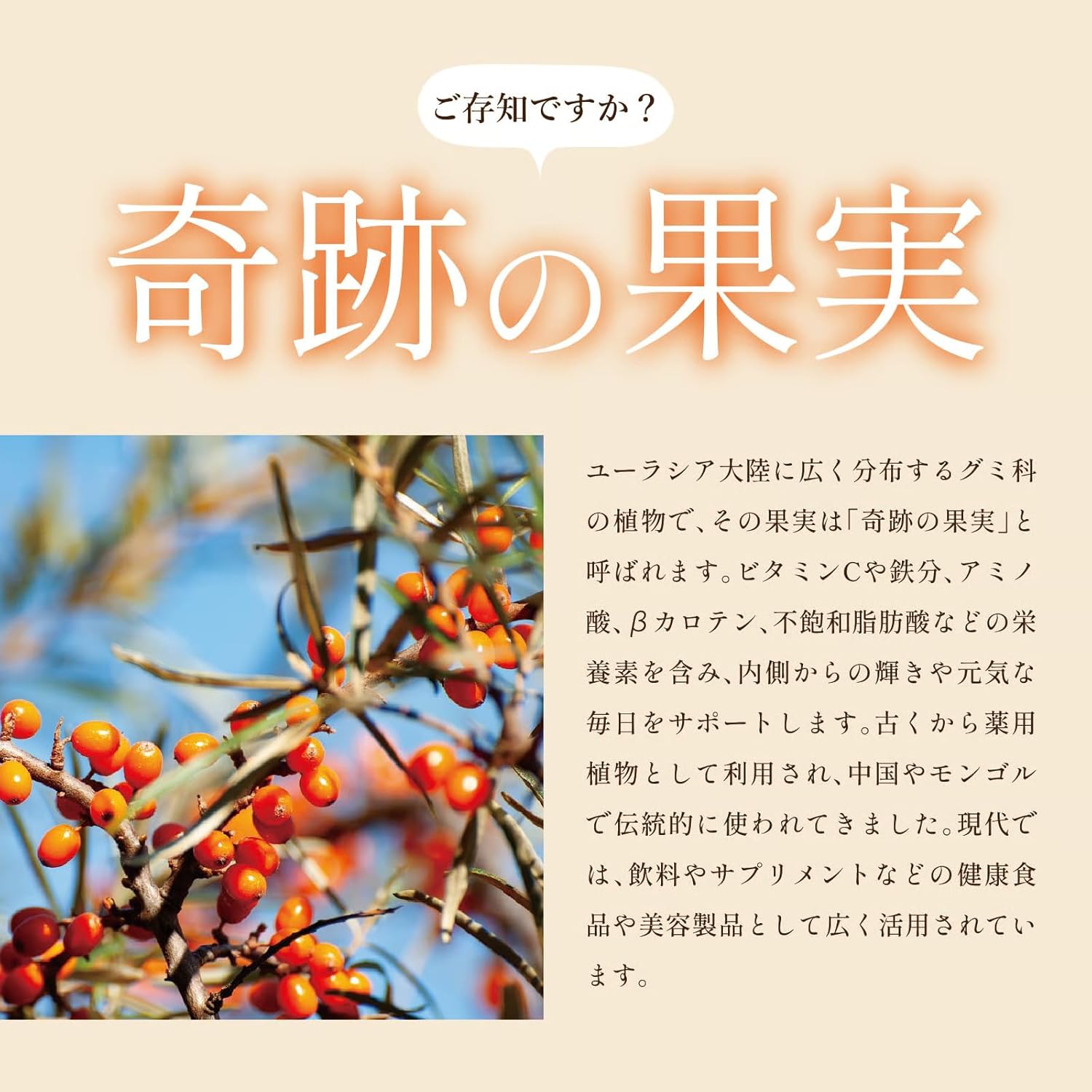 ソース研究所のSTAR SHINE2本入りギフトセット（サジー酢500ml3倍希釈タイプ・濃縮サンザシ500ml3倍希釈タイプ）｜アングル3