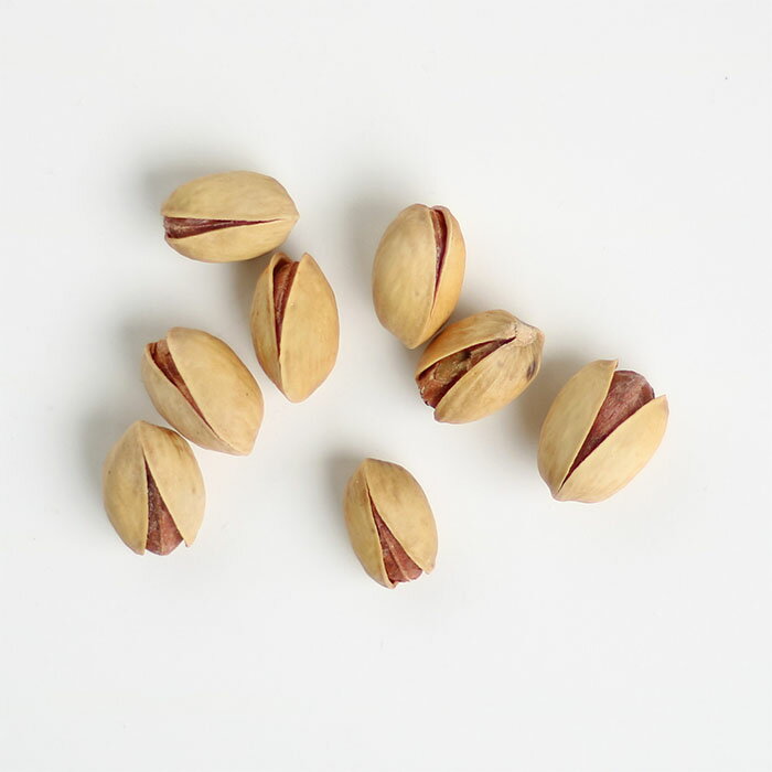 ���⡼���ԥ������� ����� 445g �᡼����ȯ�� Ʀ�ۻ� ���Ĥޤ� ���ۻ�