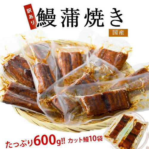 訳あり『国産鰻の蒲焼 （業務用のうな丼向け規格） 』60g×10食分 タレ山椒付き ※冷凍 送料無料