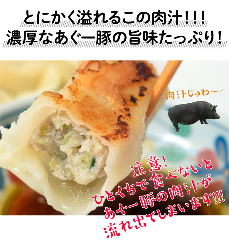 餃子 ぎょうざ 美ら島あぐー豚100％使用 あぐー豚の餃子　20個入り（480g） 贈り物 おつまみ お弁当 おかず 冷凍食品 冷凍同梱可能 3