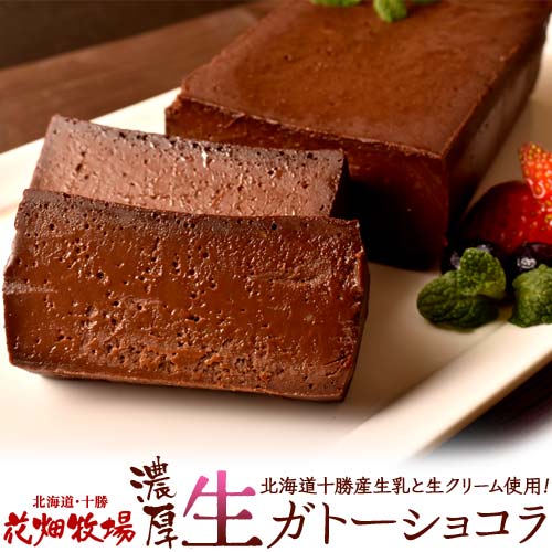 ケーキ チョコレート 花畑牧場 濃厚 生 ガトーショコラ 480g×2本セット 業務用 プレゼント おやつ チョコケーキ 冷凍 同梱可能のサムネイル
