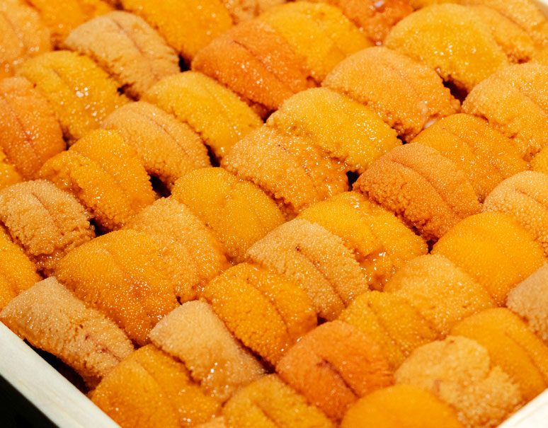 カード又は代引き限定　お値打ち【浜中小川のうに】『エゾバフンウニ』 ロシア産 弁当箱/並びA品 約250g ※冷蔵 山治　送料無料のサムネイル