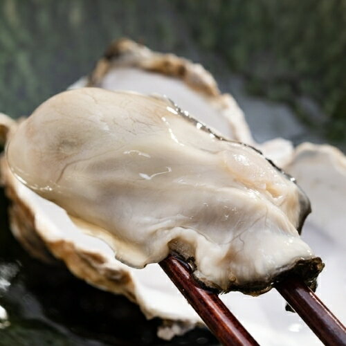 松島牡蠣の菊池水産 『生食用 殻付き牡蠣』 宮城県産 4kg （目安70〜150g/粒） レシピ付パンフレット入..